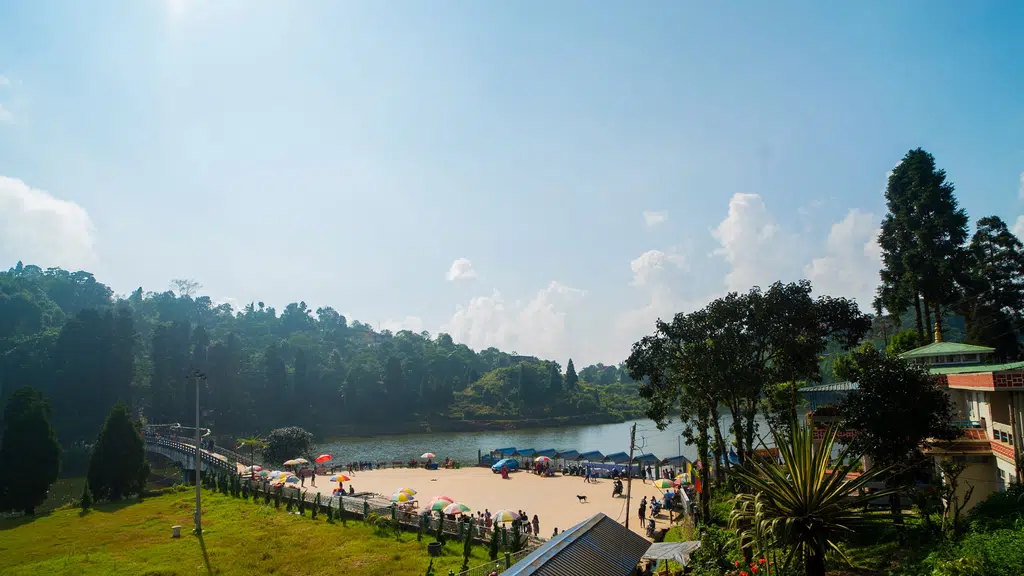 Zinlab Residency