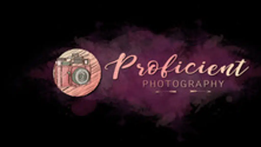 Proficient Photography