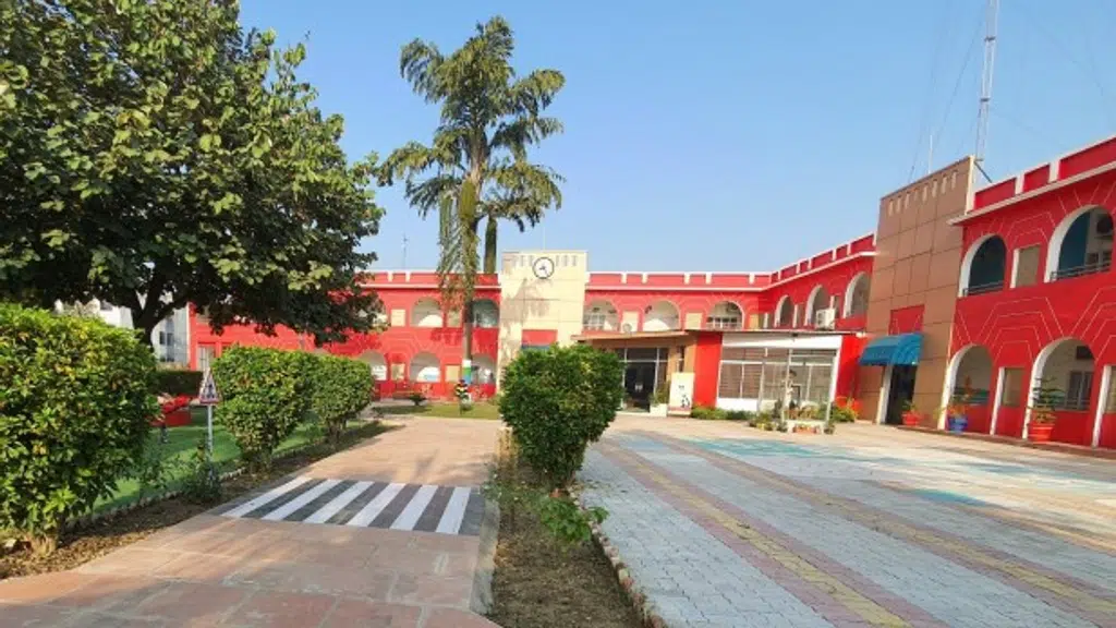 CSDS Global Academy