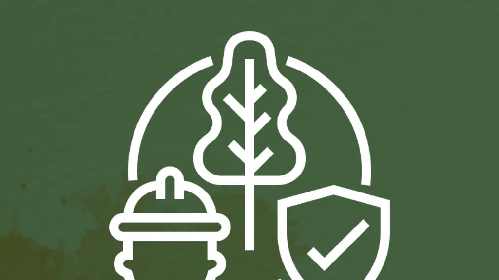 OptiSol Business Solutions