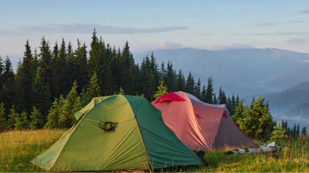 Snow Hills Resort & Camp Chopta