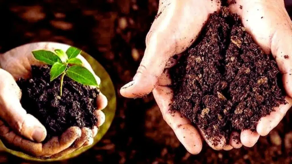 Vibha Agro Industries