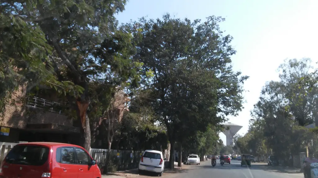 Ahmedabad Municipal Garden