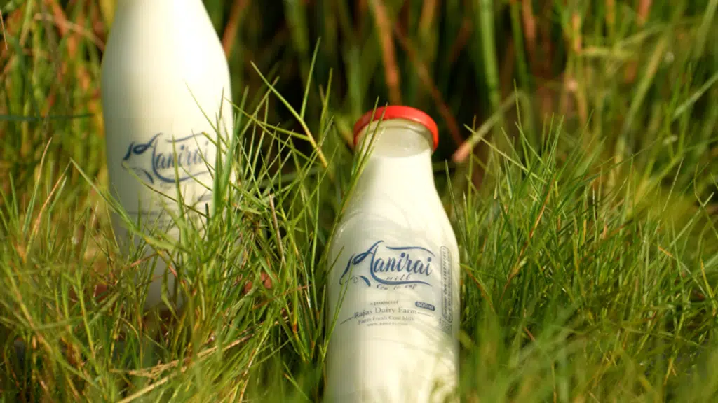 Aanirai Milk