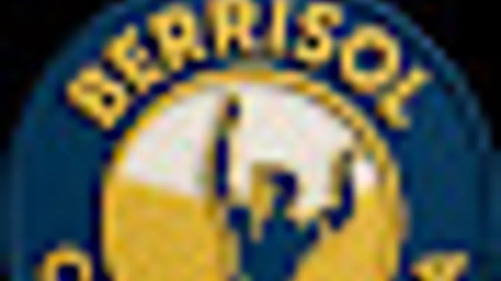 Berrisol Ceiling India