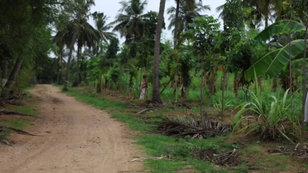 Akshayakalpa Organic
