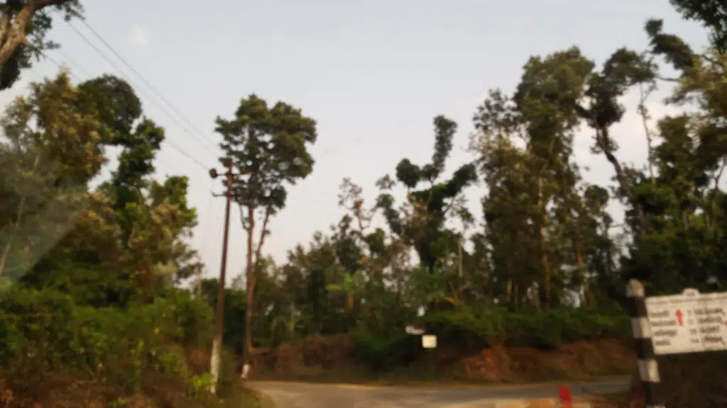 Nature At 360 Degree Homestay
