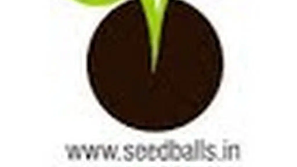 Seedballs