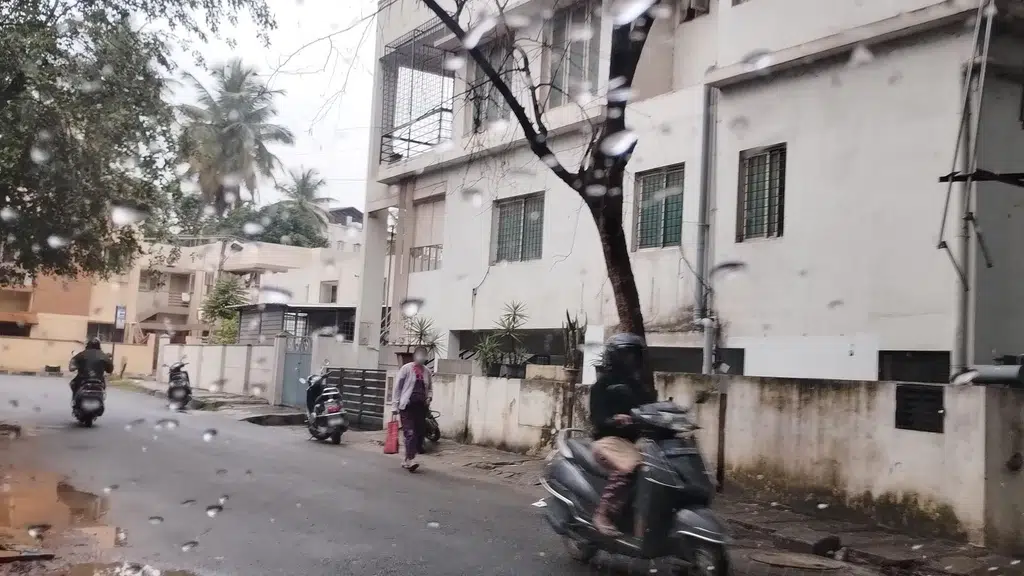 Desi Shop