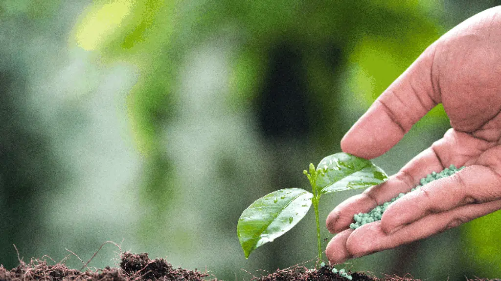 Coromandel Fertilisers Ltd.