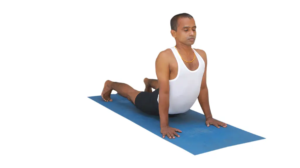 Ashtavidya School of  Yoga