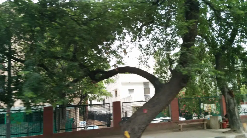 Treebo Corporate Park