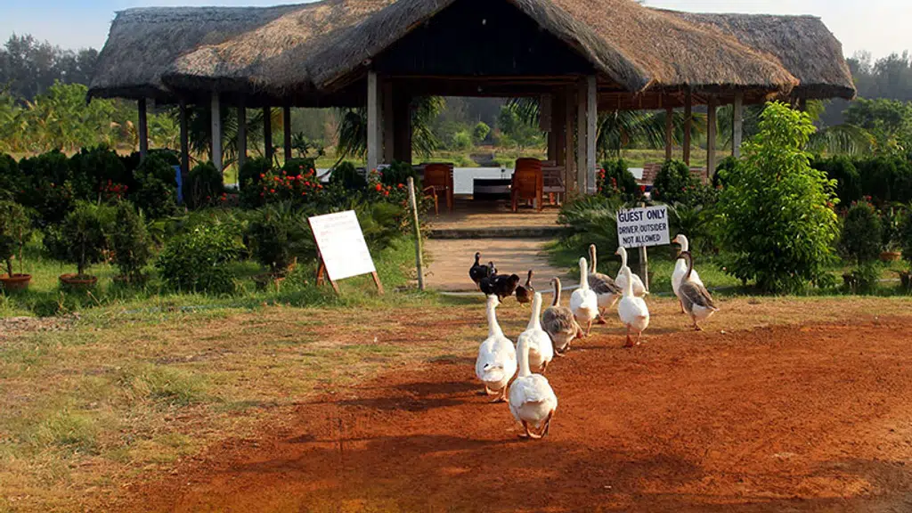 Mallickaa Resort Tajpur