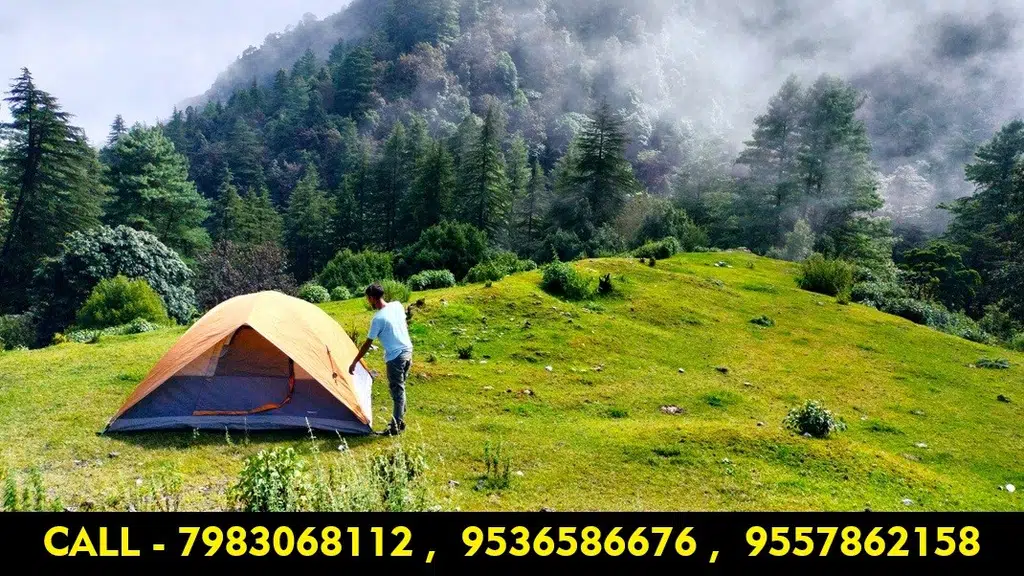 Camp Dhanaulti Magic , near Mussoorie and  Dhanaulti