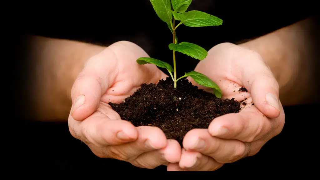 Rayh Healthcare Pvt Ltd
