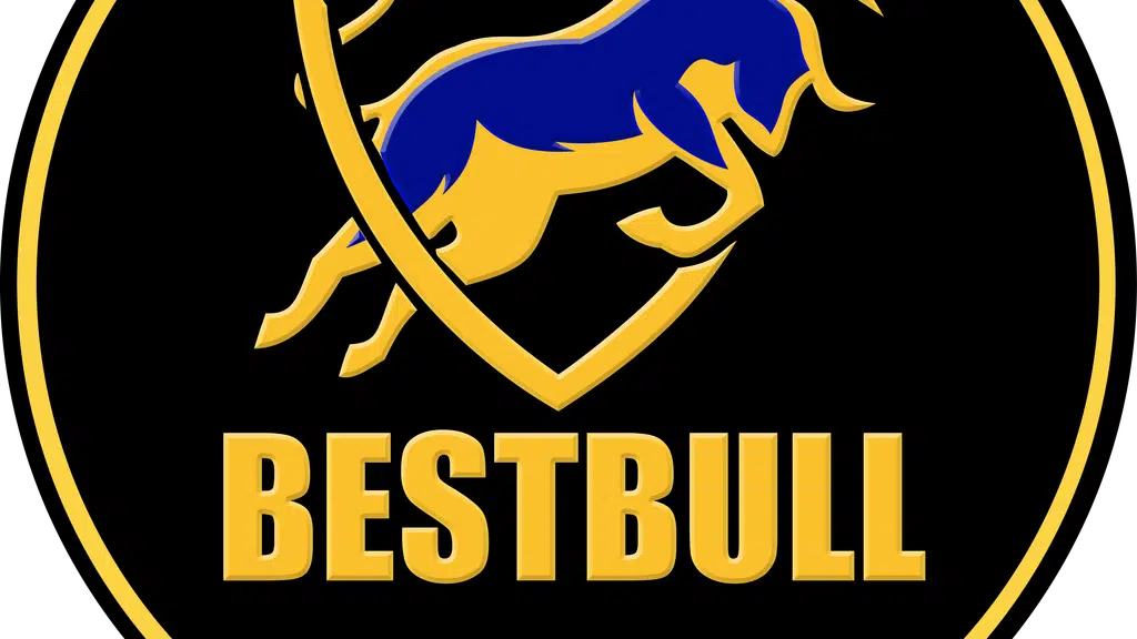 Best Bull