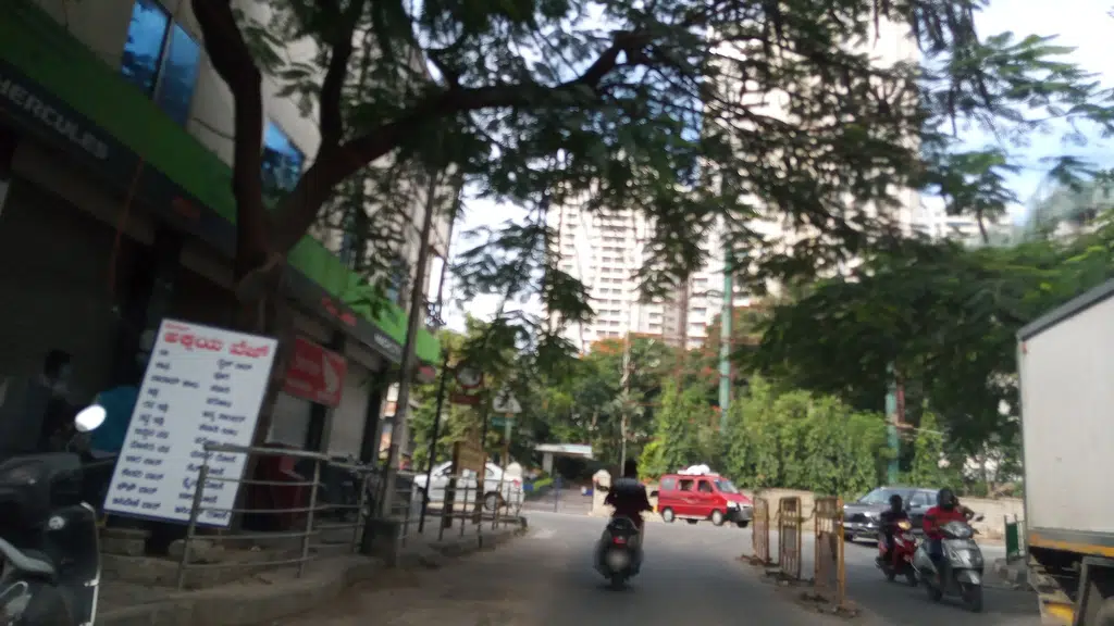 Vidya Dhaarinee Academy