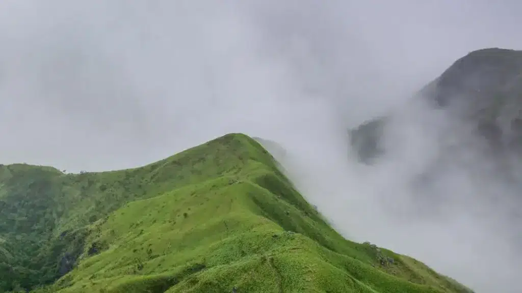 Wayanad Tour Packages
