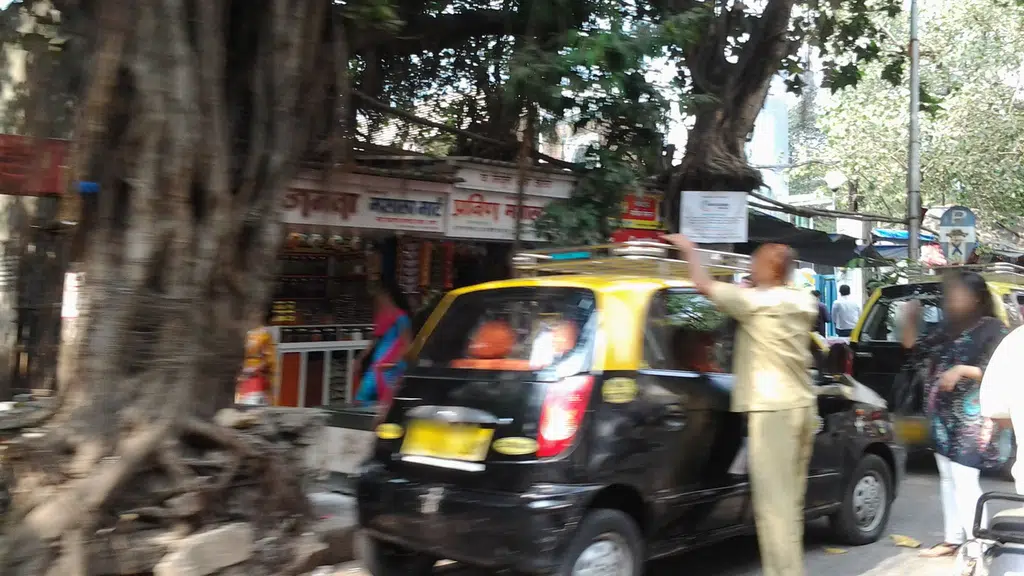 Bal Dandvate Smruti