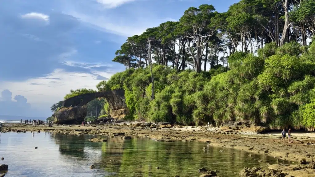 Tropical Andaman Tours