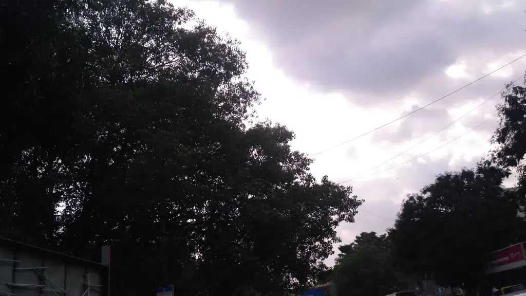 Karavali Fine Dine Restaurant