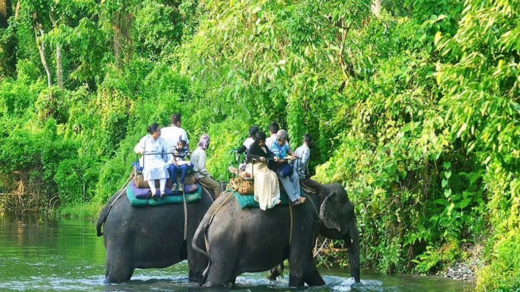 Dreamway Tour & Travels