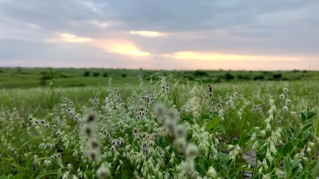 Wild Panchal Campsite