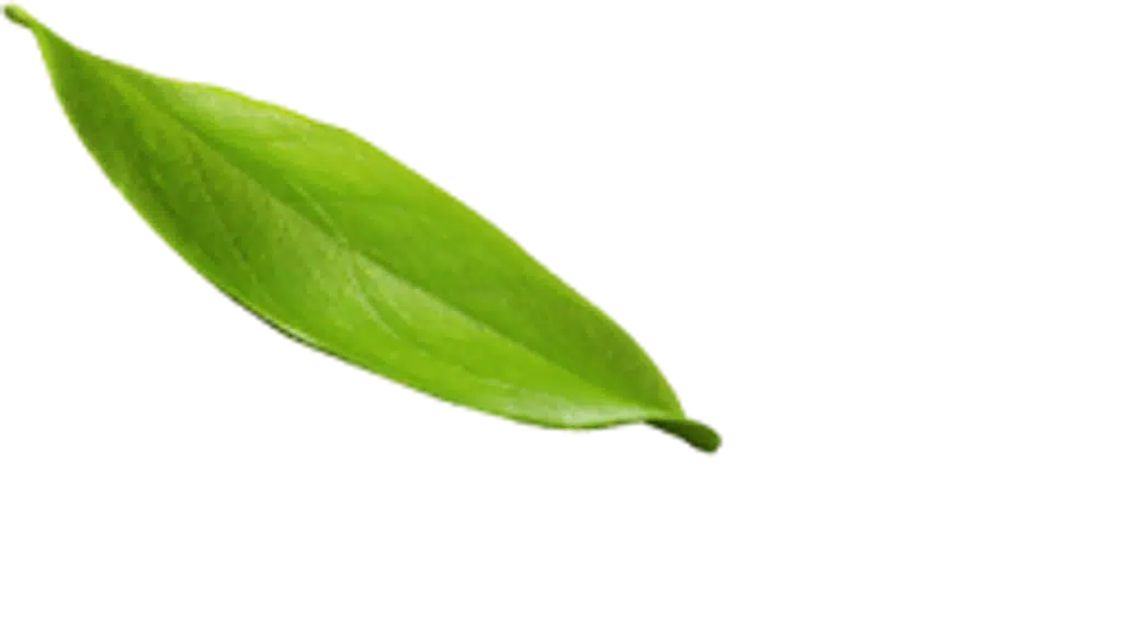 Dr. Swetha Sridhar , Dermatologist- Dr Swetha’s Skin Sutra Clinic