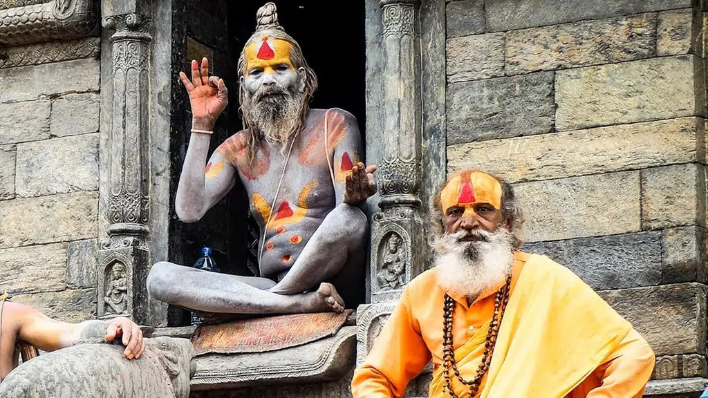 Amazing India Tours