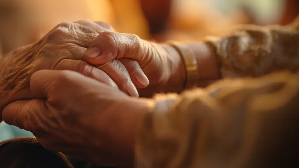 The Assistance Elder Care Service