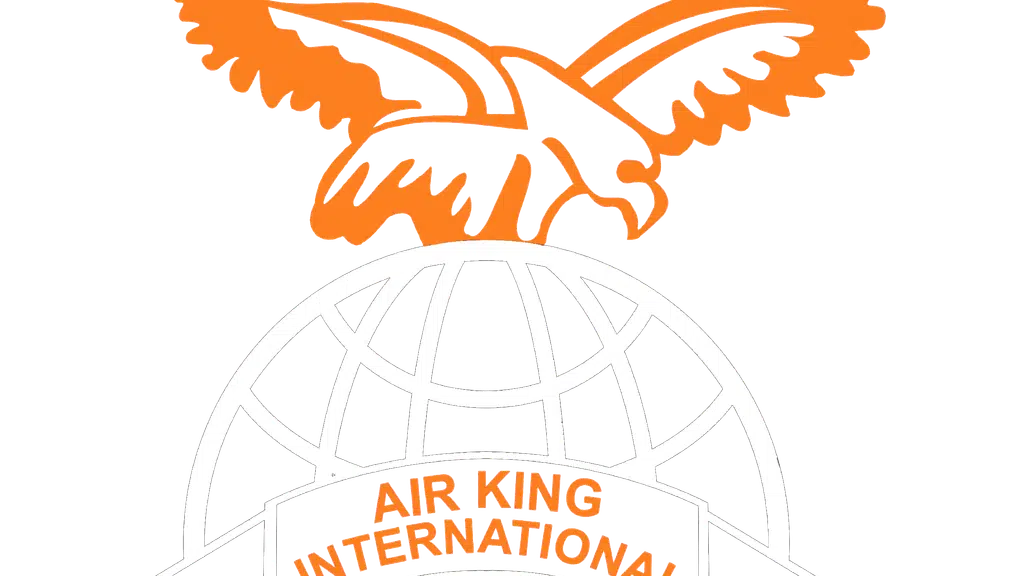 Airking Nursing Job Consultancy