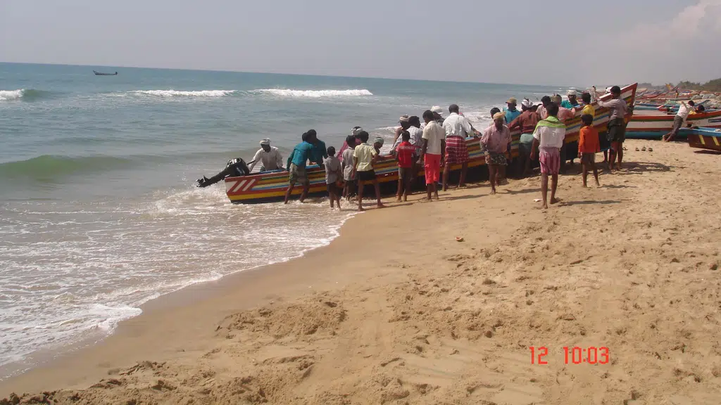 Samrajya Fisheries