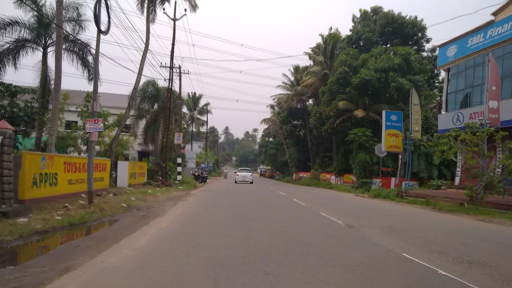 Palmgrove gardens
