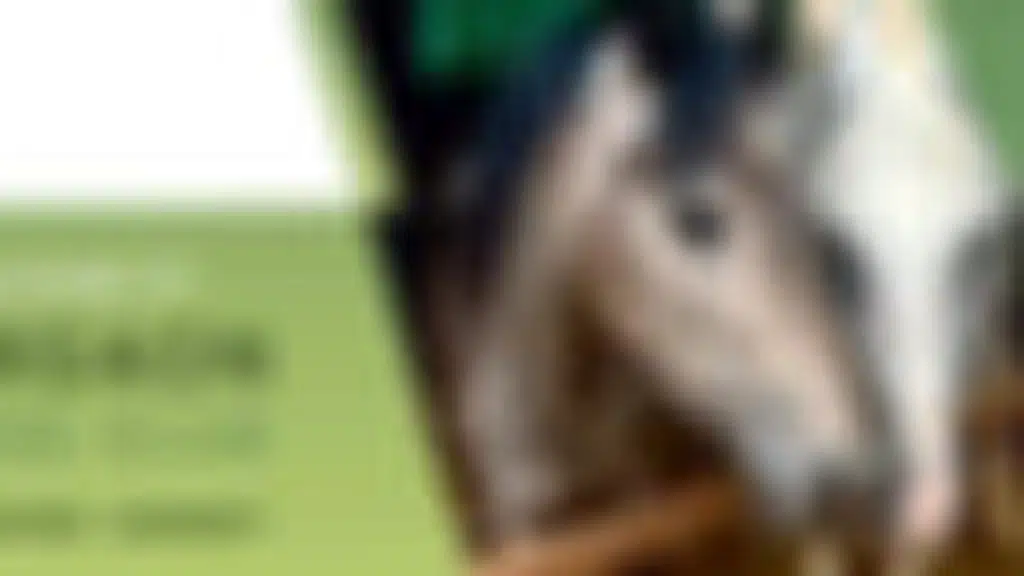Gurgaon Horse Club