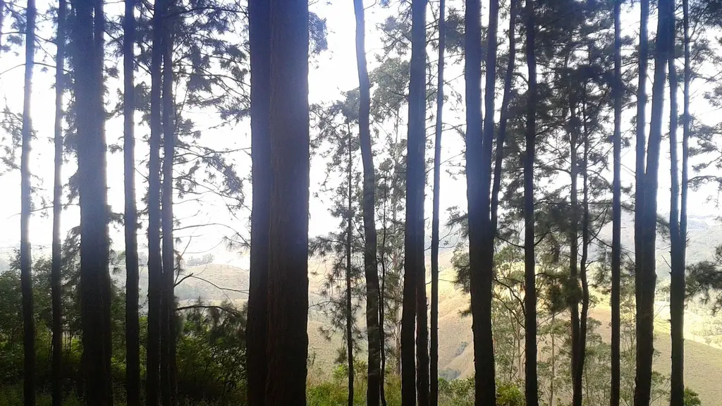 Adrak Summer Sand Hill Resort, Vagamon