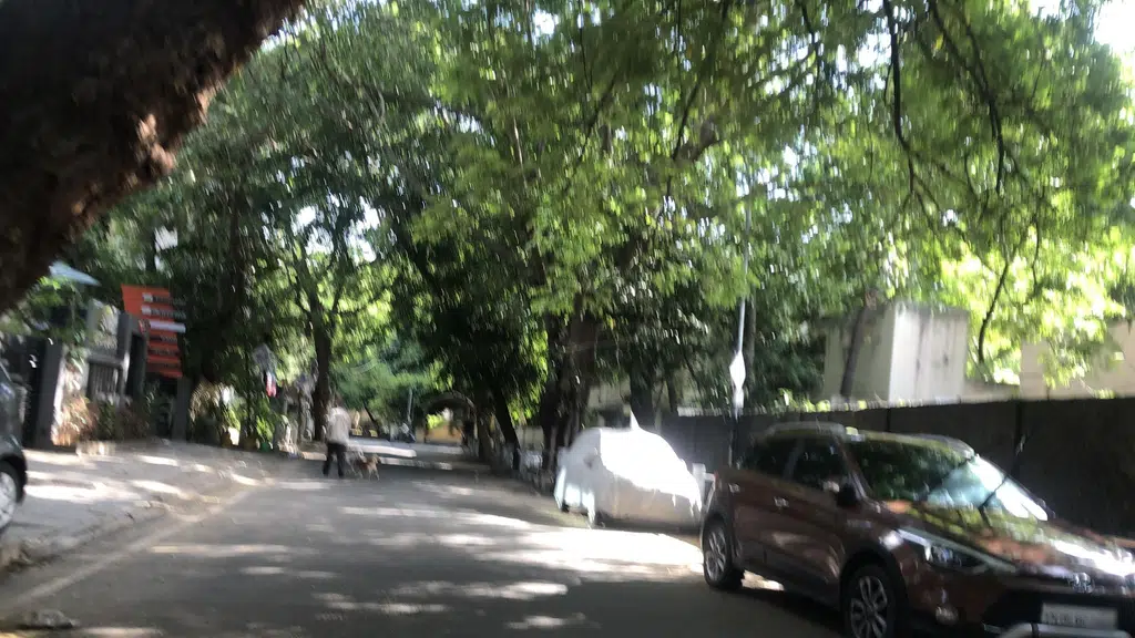 Roshan Supermarket