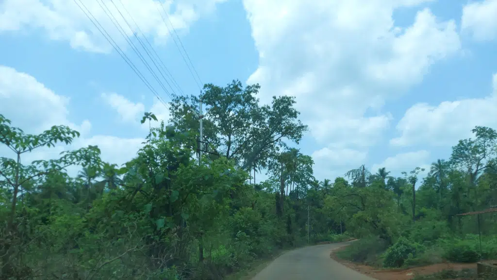 Highvalley Farmhouse and Jungle Resort