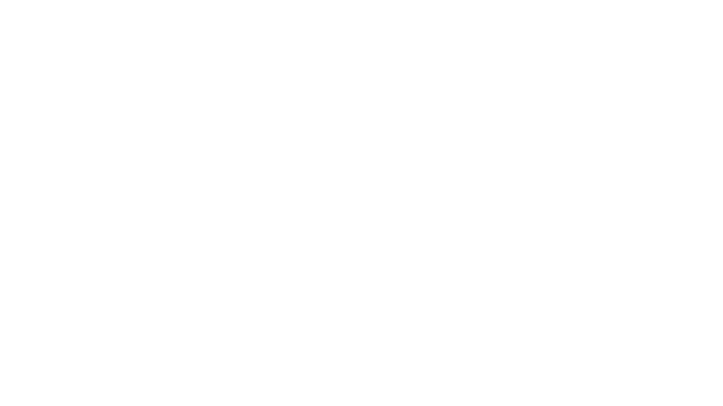 Arena Info Solutions