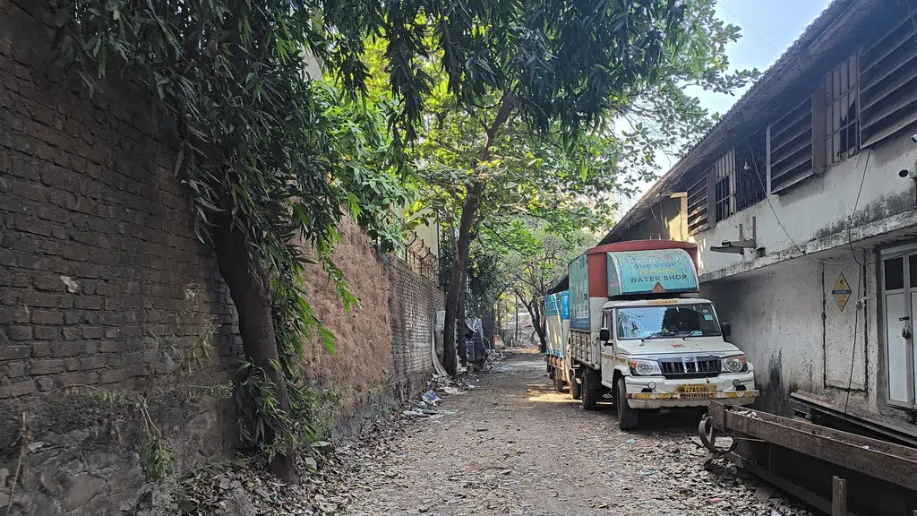 Zydus Healthcare Limited