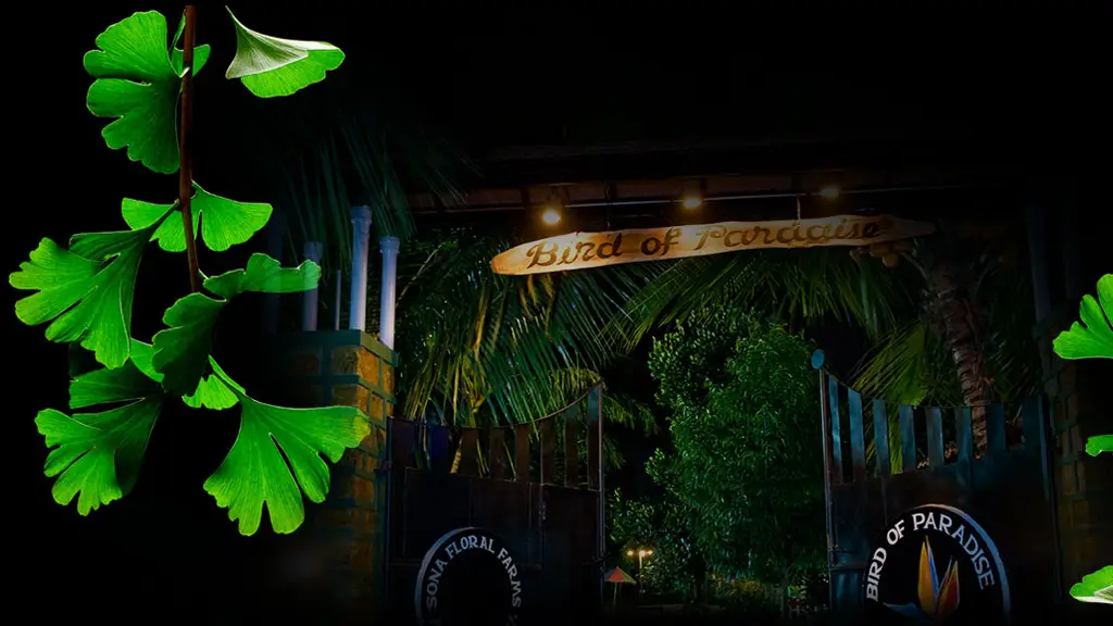 Bird of Paradise Homestay