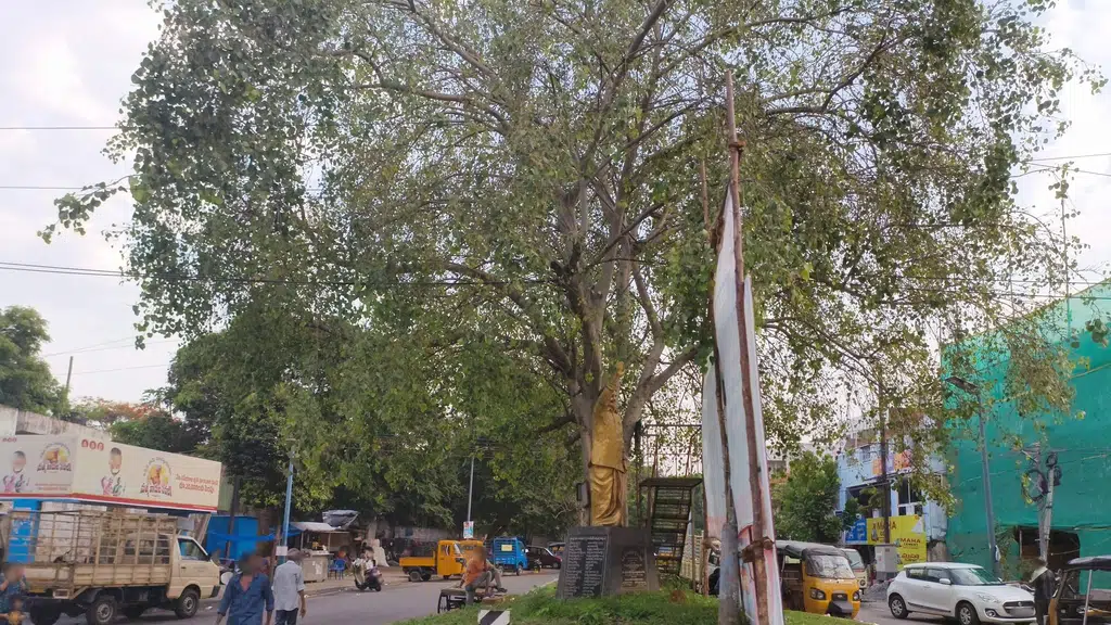 Vijayalakshmi Hardware and Electrical