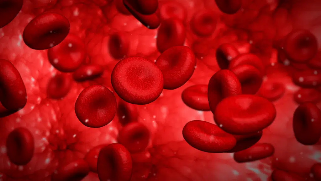 Ganju Haematology Clinic and Hospital