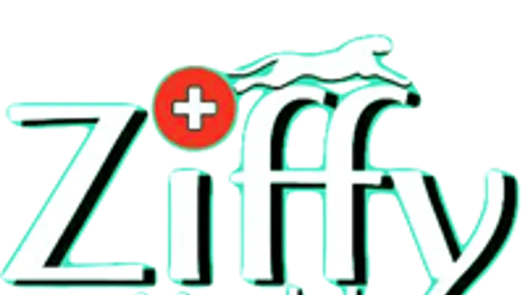 ZiffyHealth Overnet e-Clinic