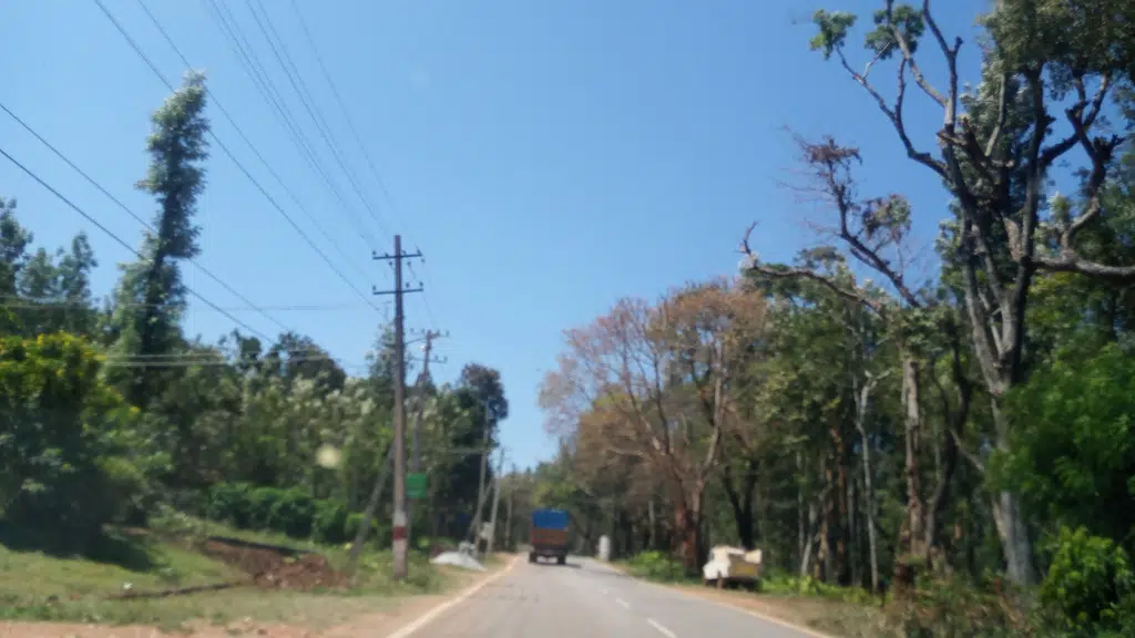 Chikamagalur homestay’s