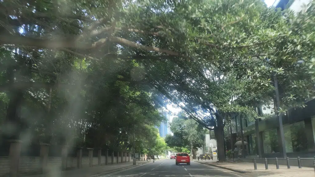 NEXA (Pratham Motors, Bengaluru, Museum Road)