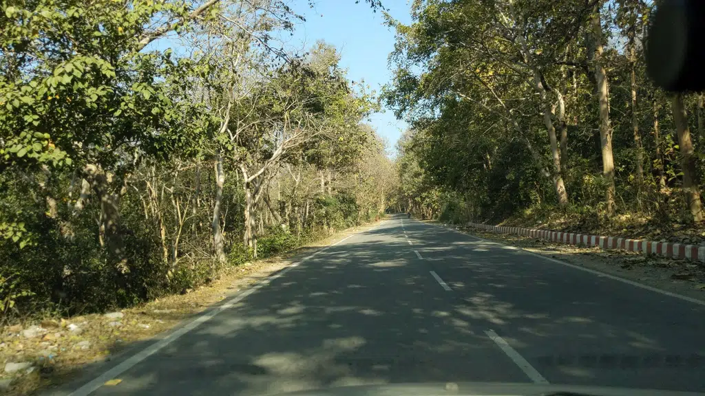 Palm Tree Resort & Banquet , Jim Corbett