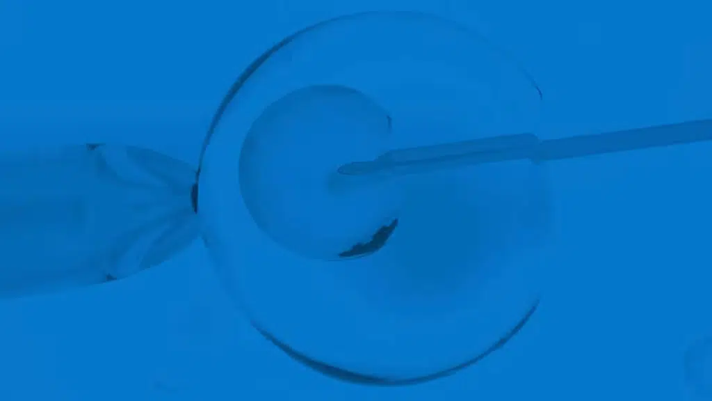 Dr Sukriti Sharma Gynaecologist and Fertility specialist