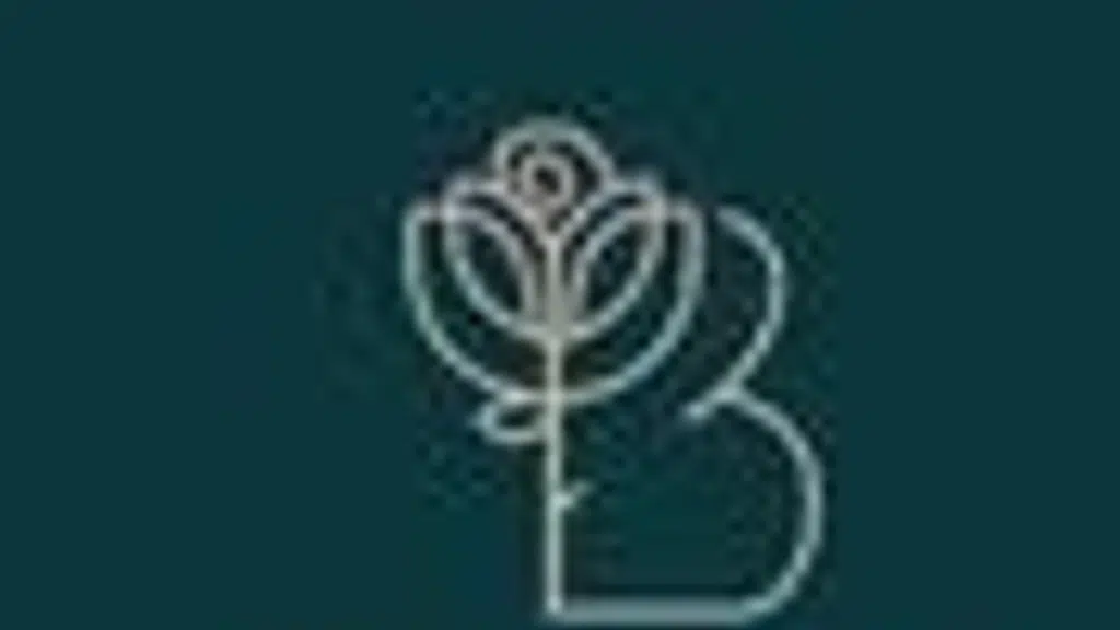 Blowcy Bloom LLP.