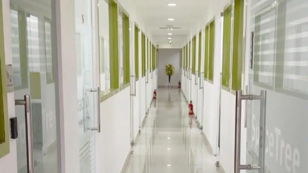 SpaceTree - A Premium Business Center