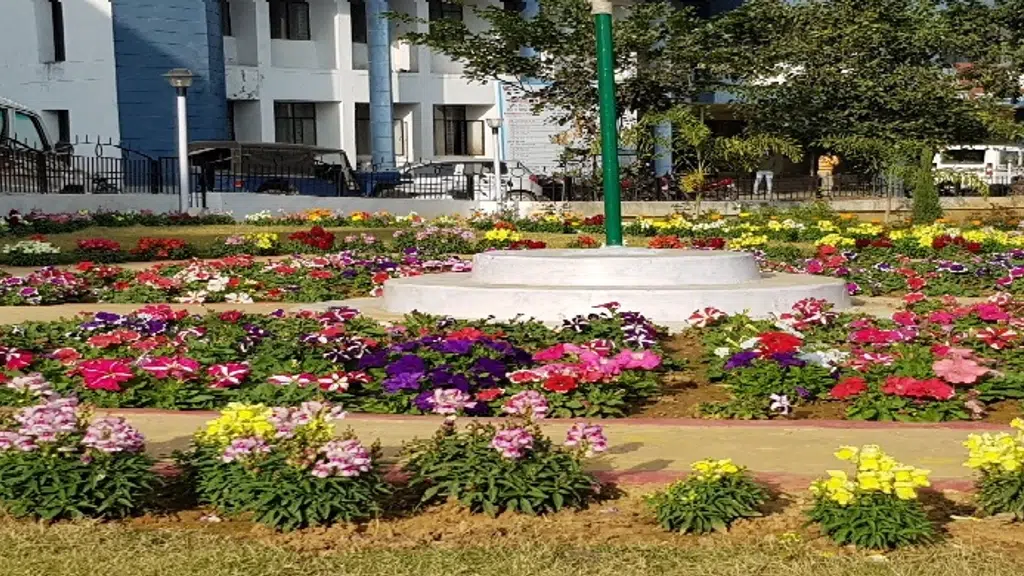 Koderma: jainagar
